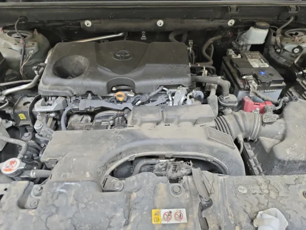 2019 Toyota RAV4 Adventure